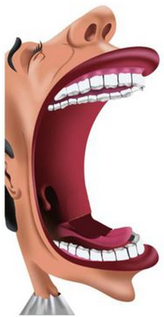 初級會計考試 初級會計考試