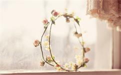 高級(jí)會(huì)計(jì)師