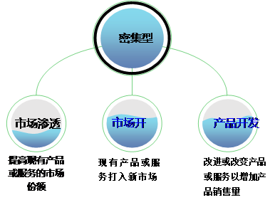 高級會(huì)計(jì)實(shí)務(wù)