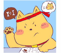 會(huì)計(jì)從業(yè)