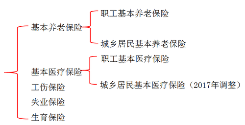 初級(jí)會(huì)計(jì)師 初級(jí)會(huì)計(jì)師