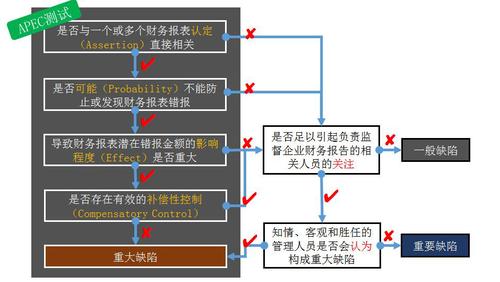 注冊會計師 注冊會計師