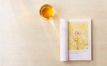 中級會(huì)計(jì)師