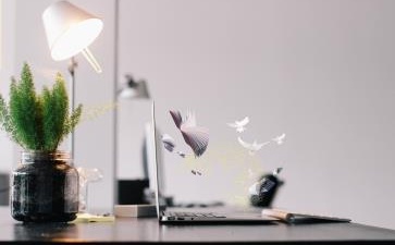 中級(jí)會(huì)計(jì)師