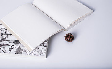 稅務(wù)師考試