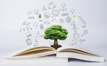 稅務(wù)師考試