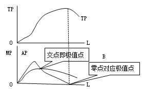 中級經(jīng)濟師 222