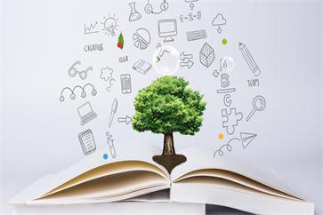 初級(jí)會(huì)計(jì)