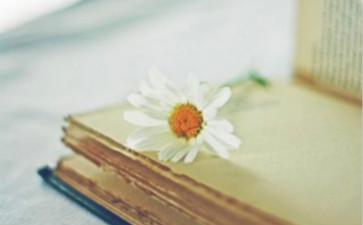 中級(jí)會(huì)計(jì)職稱(chēng) 中級(jí)會(huì)計(jì)職稱(chēng)