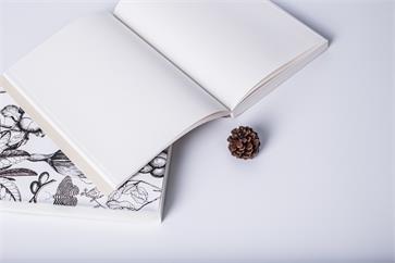 中級會計(jì)實(shí)務(wù)