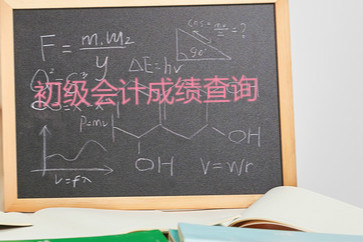 2018年初級(jí)會(huì)計(jì)職稱考試成績(jī)查詢流程是什么？