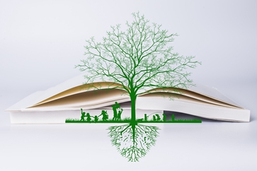 稅務(wù)師報名條件