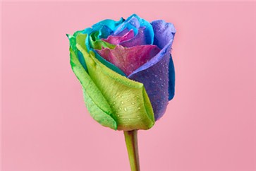 如何取得2018年注會(huì)考試合格證證書，待遇好嗎？