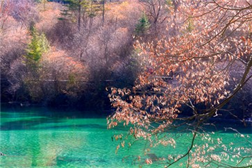 2018年中國注冊(cè)會(huì)計(jì)師考試時(shí)間，有補(bǔ)報(bào)名入口嗎？