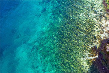 2018年湖南注會有補(bǔ)報名嗎？報名條件是什么？