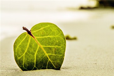 2018注冊會計師考試會很難嗎？應(yīng)該幾年內(nèi)考完？