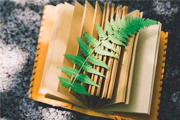 注冊會計(jì)師通過率怎么樣？對于求職有幫助嗎？