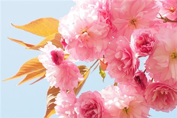  2018年注冊會計師考試準考證打印注意事項