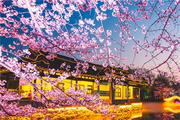 面對(duì)即將到來(lái)的注會(huì)考試，教你各科的答題技巧