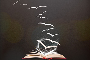 注冊會計師預(yù)科班