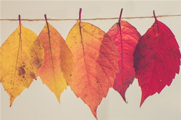 想對(duì)注會(huì)的知識(shí)點(diǎn)過(guò)目不忘？試試這些方法