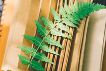 稅務師名師指導