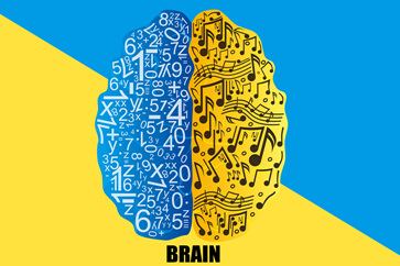 注冊(cè)會(huì)計(jì)師戰(zhàn)略學(xué)習(xí)計(jì)劃