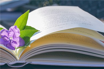 河南省注冊會計師考試時間？各類題型有什么答題技巧？