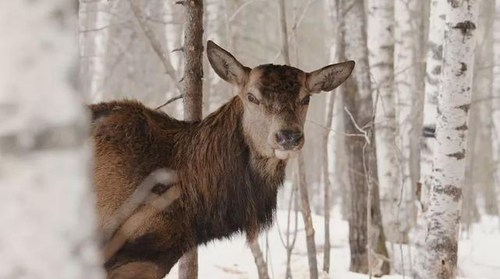 農(nóng)夫山泉2