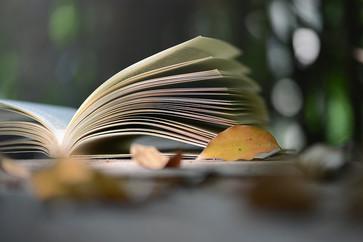 高級(jí)會(huì)計(jì)師輕松過關(guān)輔導(dǎo)書考點(diǎn)地圖有什么用？