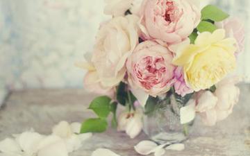 注冊會計師活學(xué)活用