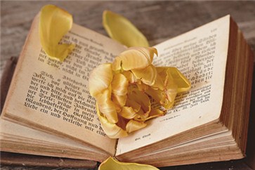 2019年注會報名條件，準(zhǔn)備報考的考生看過來