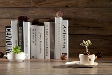 稅務(wù)師考試我要補(bǔ)報(bào)名嗎