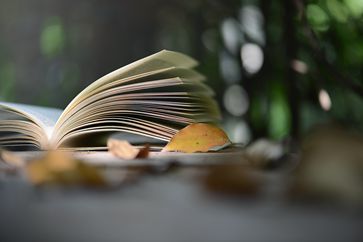 稅務(wù)師考試什么時(shí)候進(jìn)行