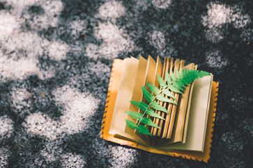 稅務(wù)師：國務(wù)院今年如何為你減稅