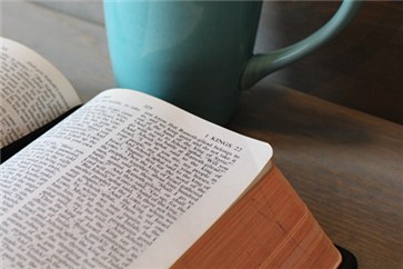 法人人格否認(rèn)制度—刺破公司的面紗