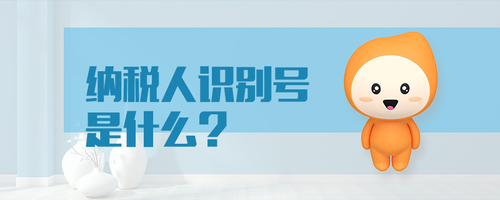 納稅人識別號是什么 納稅人識別號是什么