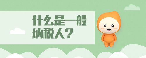 什么是一般納稅人