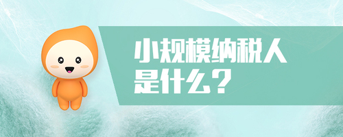 小規(guī)模納稅人是什么