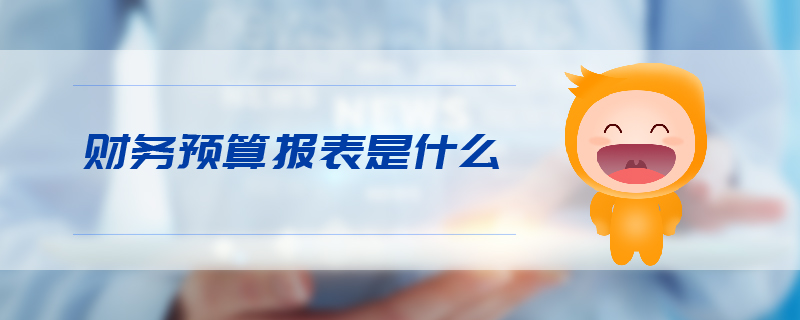 財務(wù)預(yù)算報表是什么 財務(wù)預(yù)算報表是什么