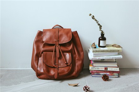 2019年注會報名條件有什么變化嗎？報名費用是多少呢？