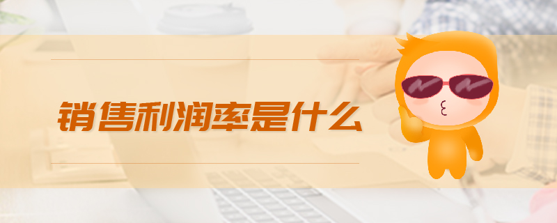 銷(xiāo)售利潤(rùn)率是什么