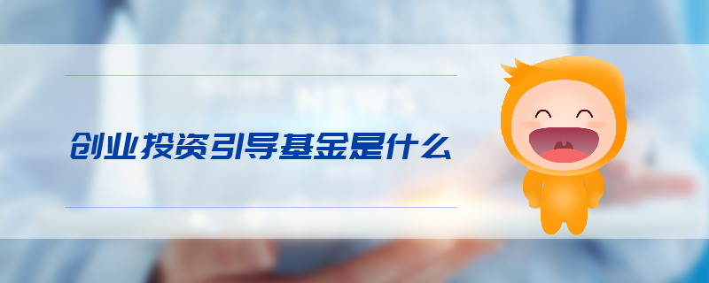 創(chuàng)業(yè)投資引導基金是什么