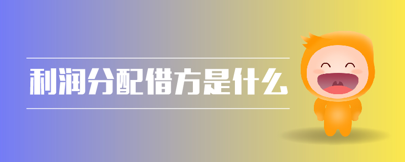 利潤分配借方是什么