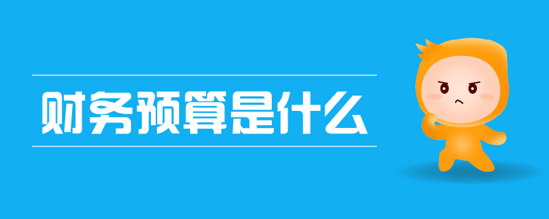 財(cái)務(wù)預(yù)算是什么 財(cái)務(wù)預(yù)算是什么