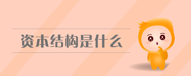 資本結(jié)構(gòu)是什么