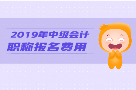 2019年海南中級會計職稱繳費(fèi)方式是什么？