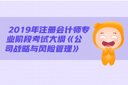 2019年注冊會計師《戰(zhàn)略》大綱變動都有哪些？