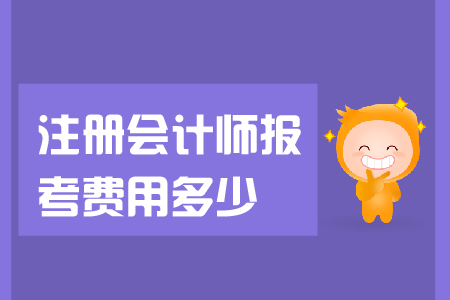 2019年注冊(cè)會(huì)計(jì)師報(bào)考費(fèi)用多少錢？報(bào)名人數(shù)是多少？