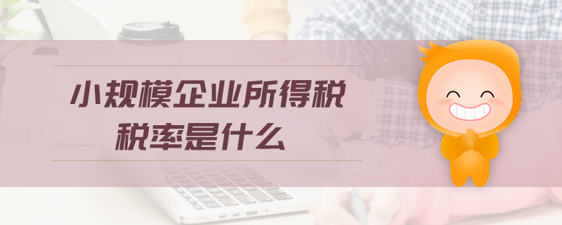 小規(guī)模企業(yè)所得稅稅率是什么 小規(guī)模企業(yè)所得稅稅率是什么